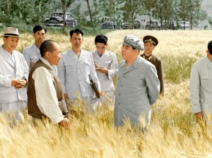 14a.jpg
