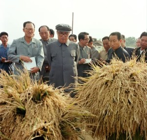 18a.jpg